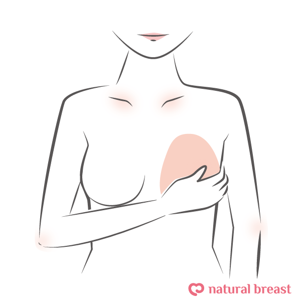 人工乳房の正しい装着方法と取り外し方法